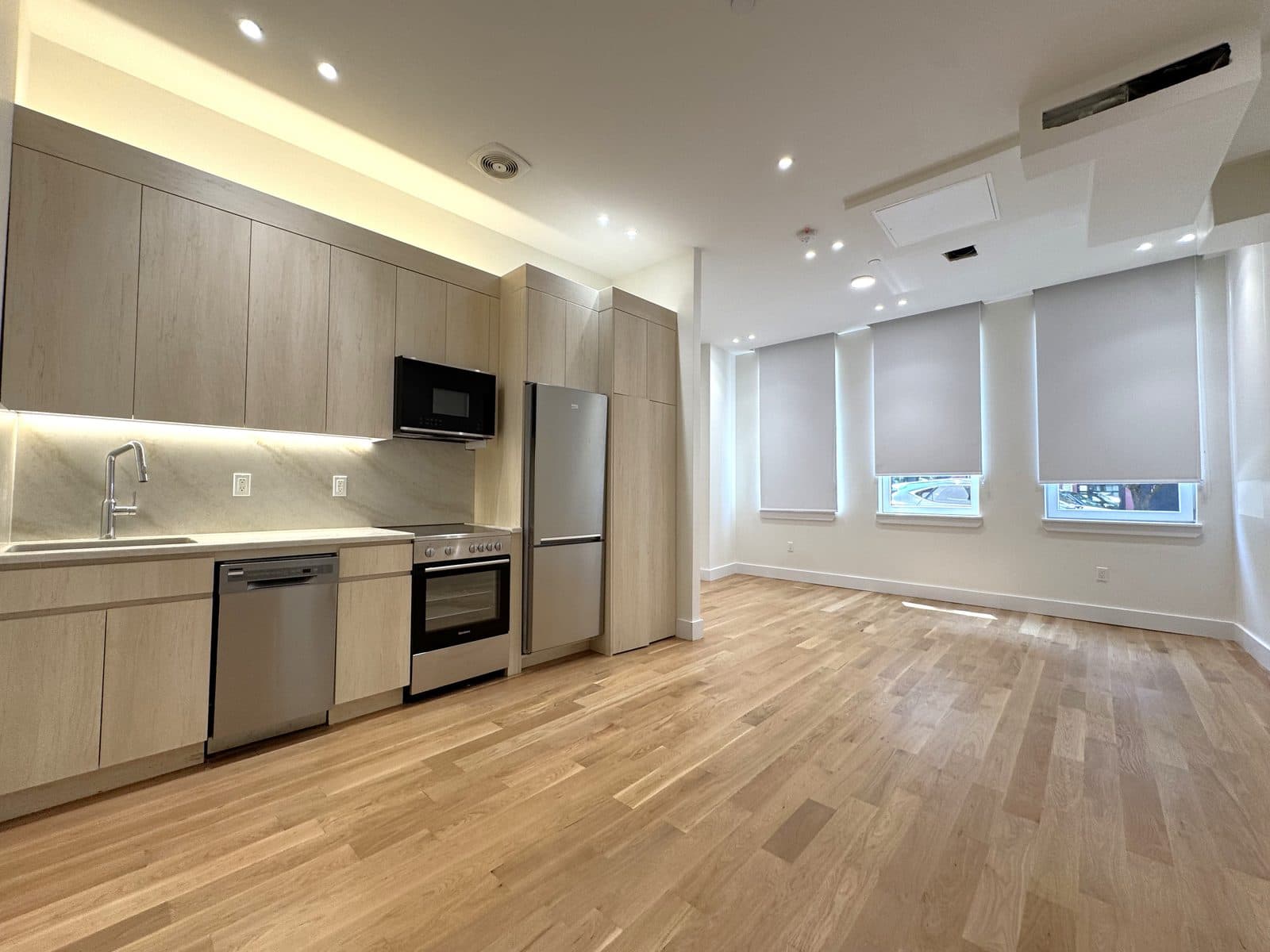 Modern kitchen with flat-panel cabinets and stainless steel appliances